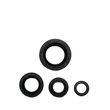 Dio 110 Keçe Seti Oem