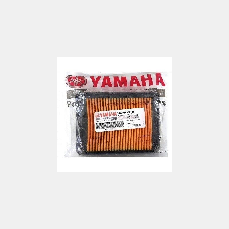 R 25 Hava Filtresi Orjinal 2019-2025