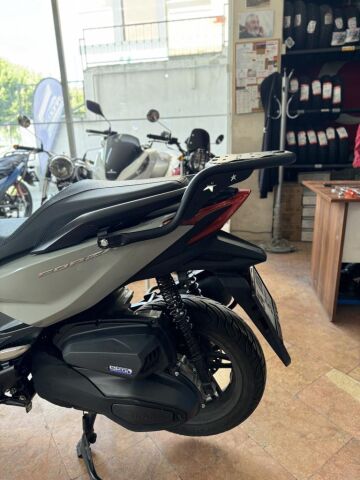 Forza 250 Arka Çanta Demiri 2023-2024-2025