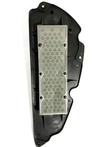 Forza 250 Hava Filtresi 2013-2019