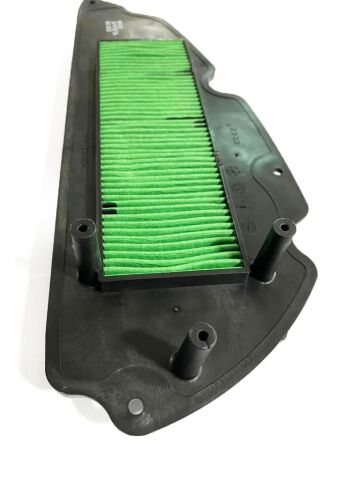 Forza 250 Hava Filtresi 2013-2019