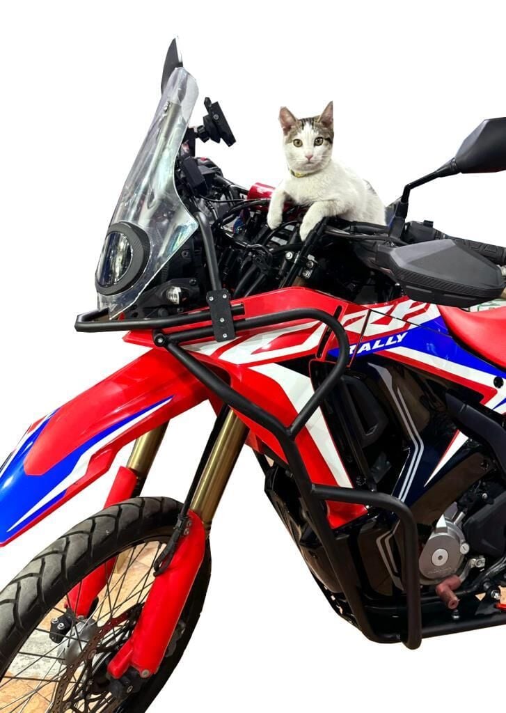 CRF 250 Rally Motor Koruma Demiri 2023-2024 - Bakım Sehpası Hediye