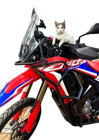 CRF 250 Rally Motor Koruma Demiri 2023-2024 - Bakım Sehpası Hediye