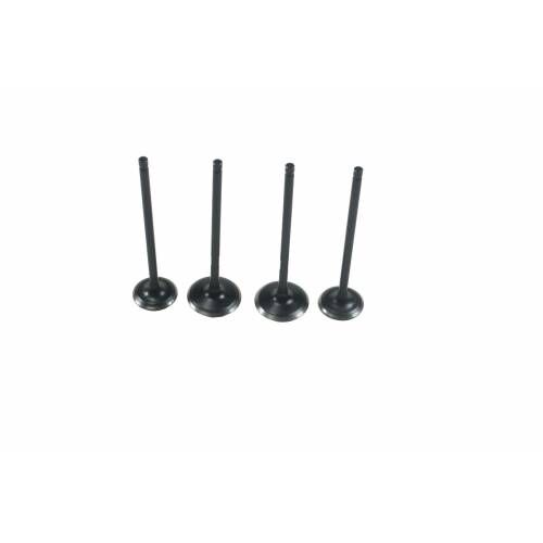 Bajaj Pulsar NS 200 Sibop (Subap) Takımı