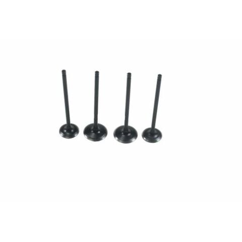 Bajaj Pulsar NS 200 Sibop (Subap) Takımı