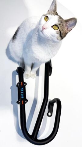 Honda SH 125 Egzoz Koruma Demiri