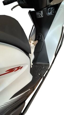 SH 125 Ön Arka Koruma Demiri