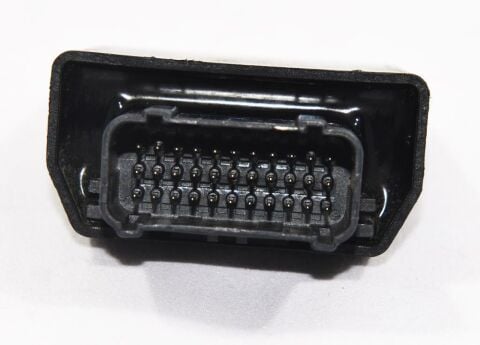 Spacy Beyin-Yeni Model-ED-