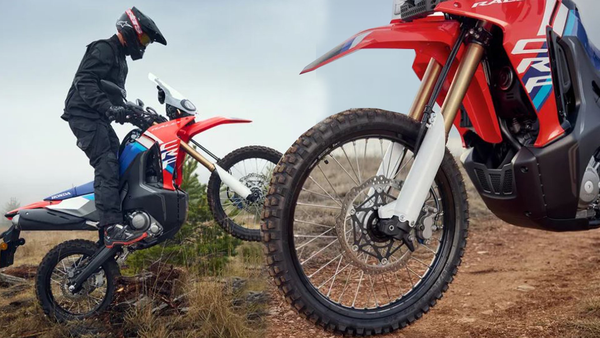 CRF 250 RALLY 2025 KORUMA DEMİRİ