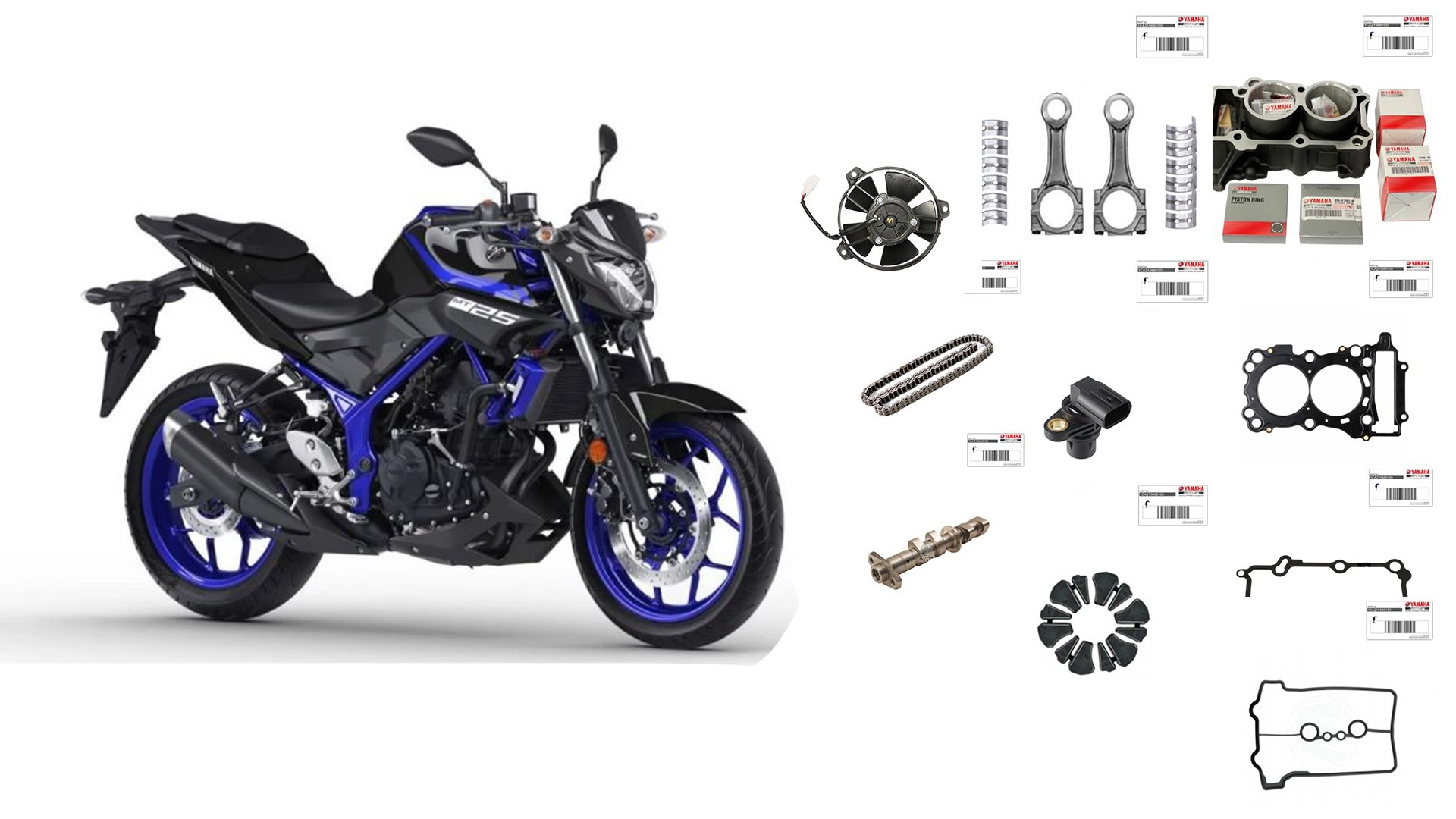 YAMAHA MT 25